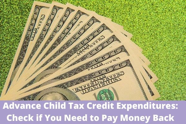 Advance Child Tax Credit Expenditures: Check if You Need to Pay Money Back