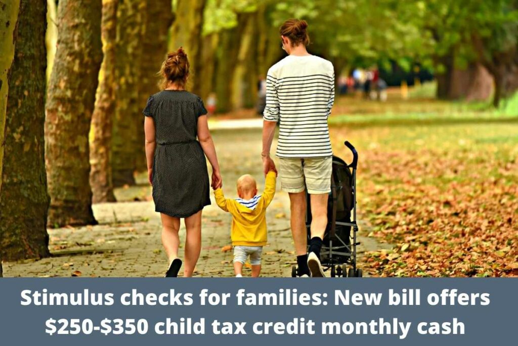 Stimulus checks for families New bill offers $250-$350 child tax credit monthly cash