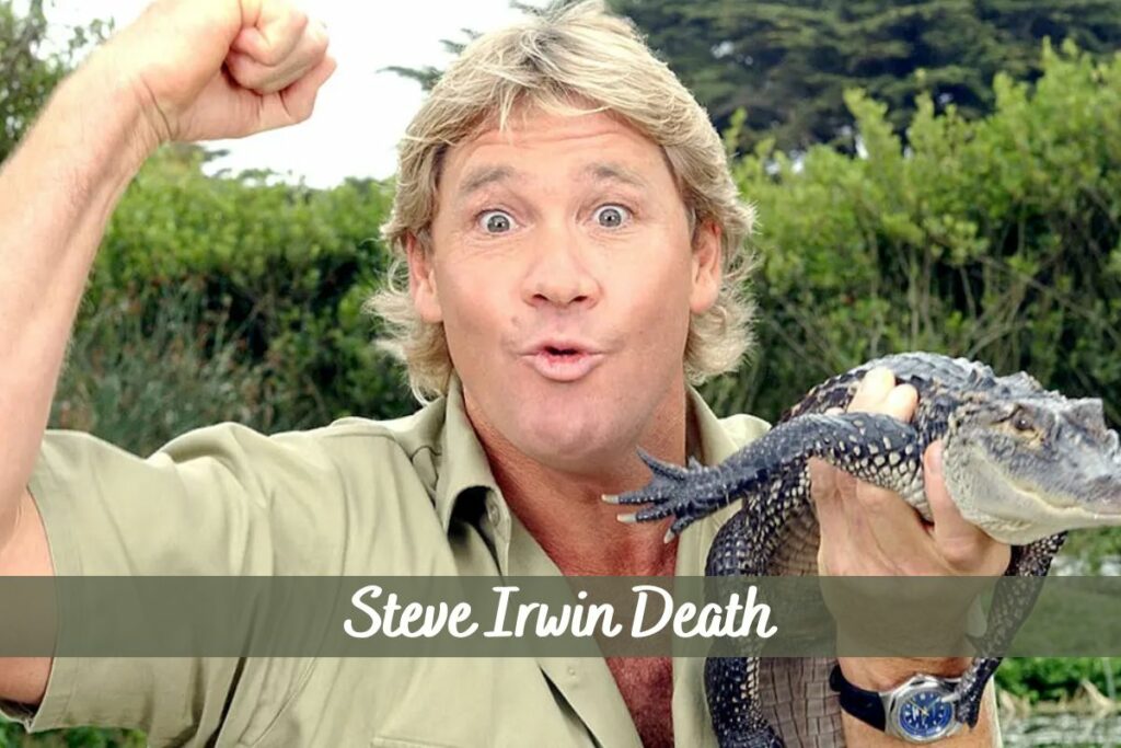 Steve Irwin Death