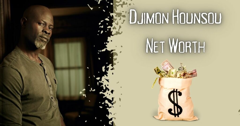 Djimon Hounsou Net Worth