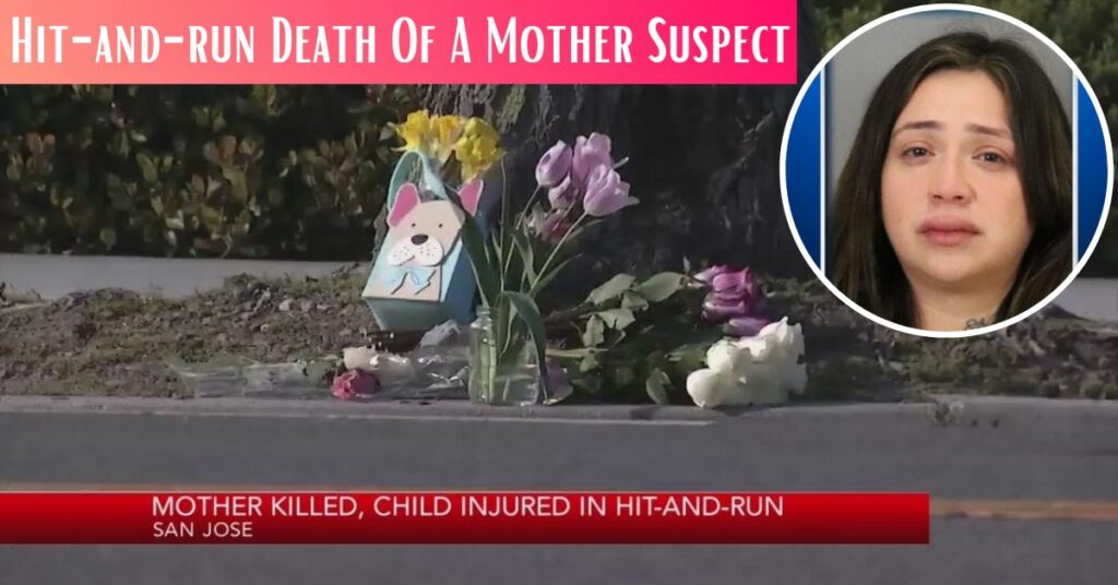 Hit-and-run Death Of A Mother Suspect