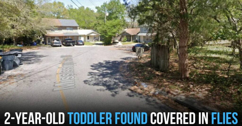 2-year-old Toddler Found Covered in Flies