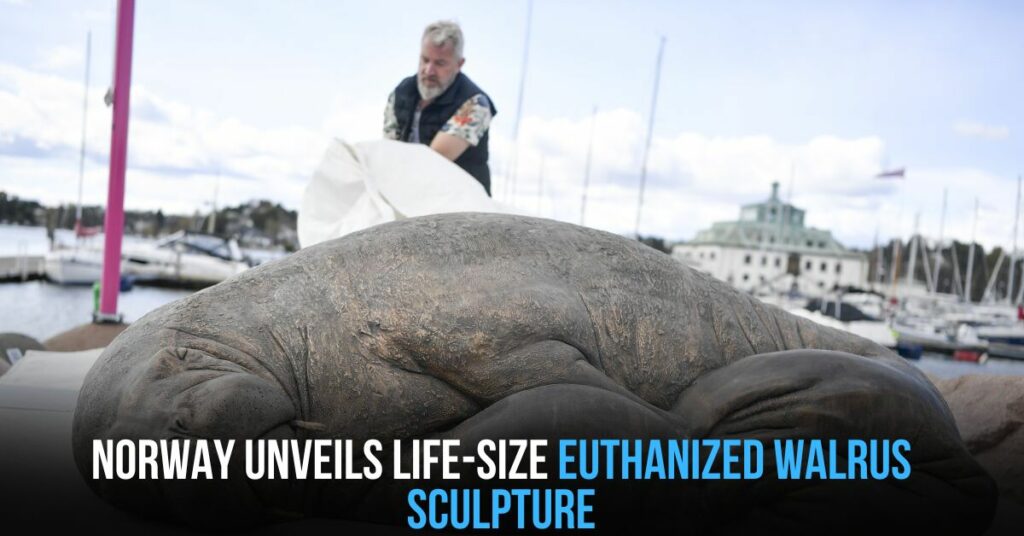 Norway Unveils Life-size Euthanized Walrus Sculpture