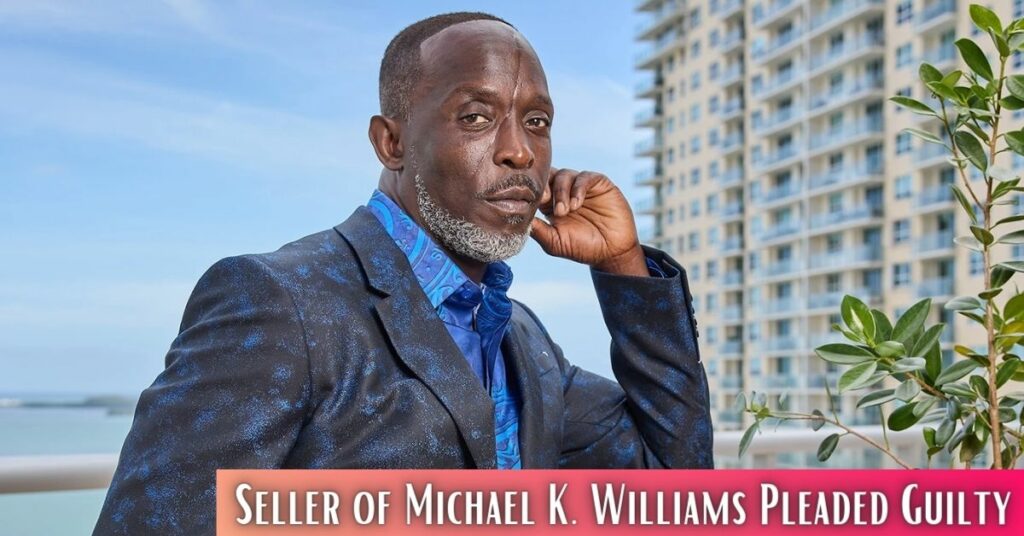 Seller of Michael K. Williams Pleaded Guilty