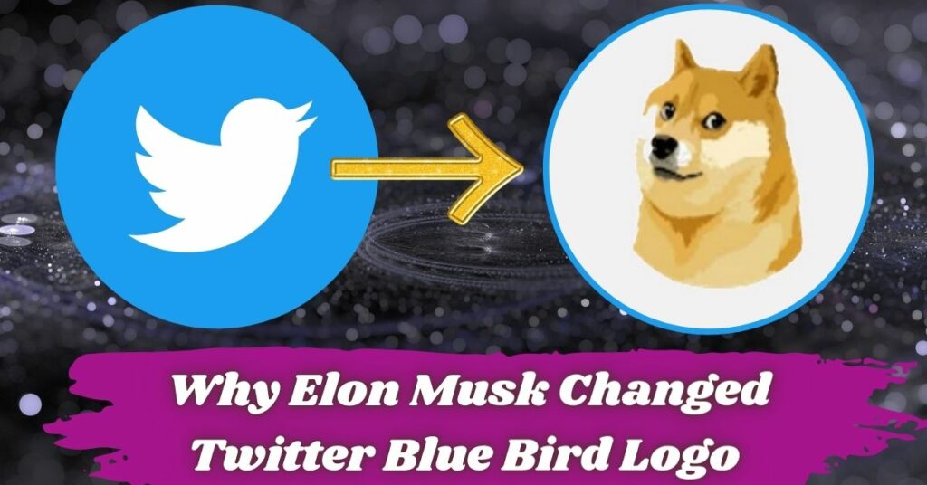 _Why Elon Musk Changed Twitter Blue Bird Logo (1)