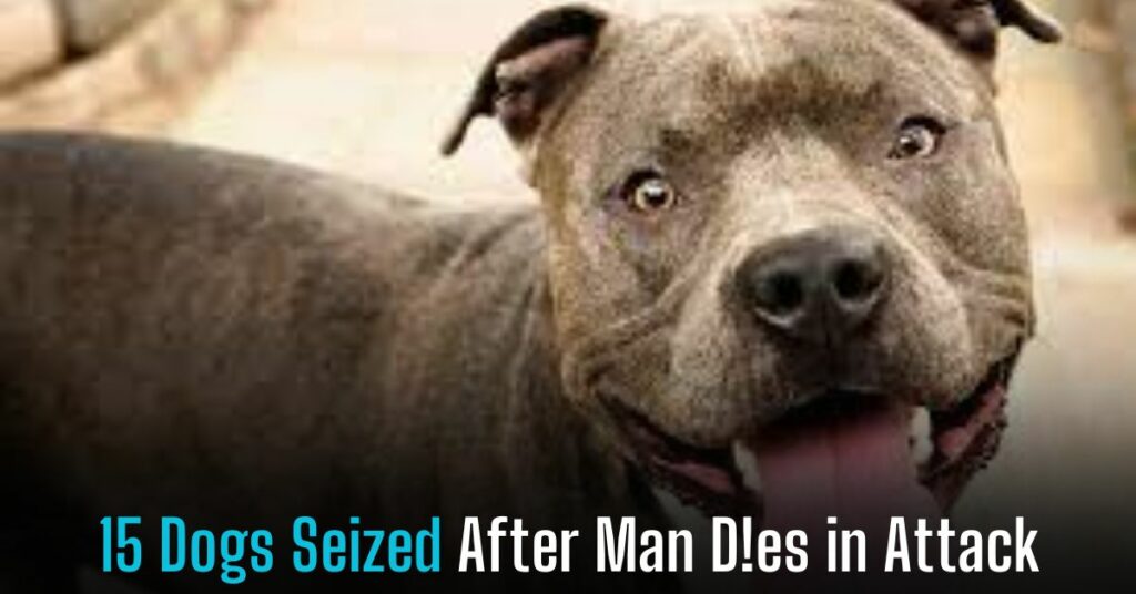 15 Dogs Seized After Man Dies in Attack
