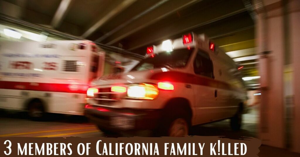 3 members of California family killed