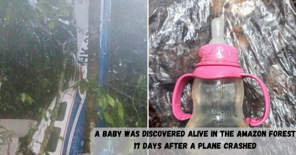 A Baby Was Discovered Alive In The Amazon Forest 17 Days After A Plane Crashed
