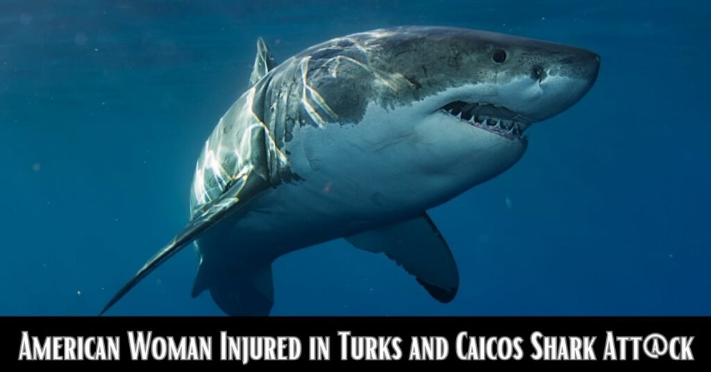 American Woman Injured in Turks and Caicos Shark Att@ck