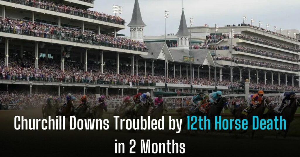 Churchill Downs Troubled by 12th Horse Death in 2 Months