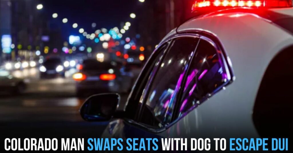 Colorado Man Swaps Seats With Dog to Escape DUI