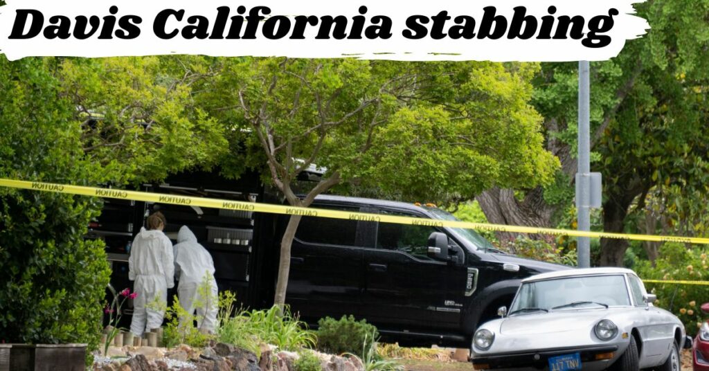 Davis California stabbing