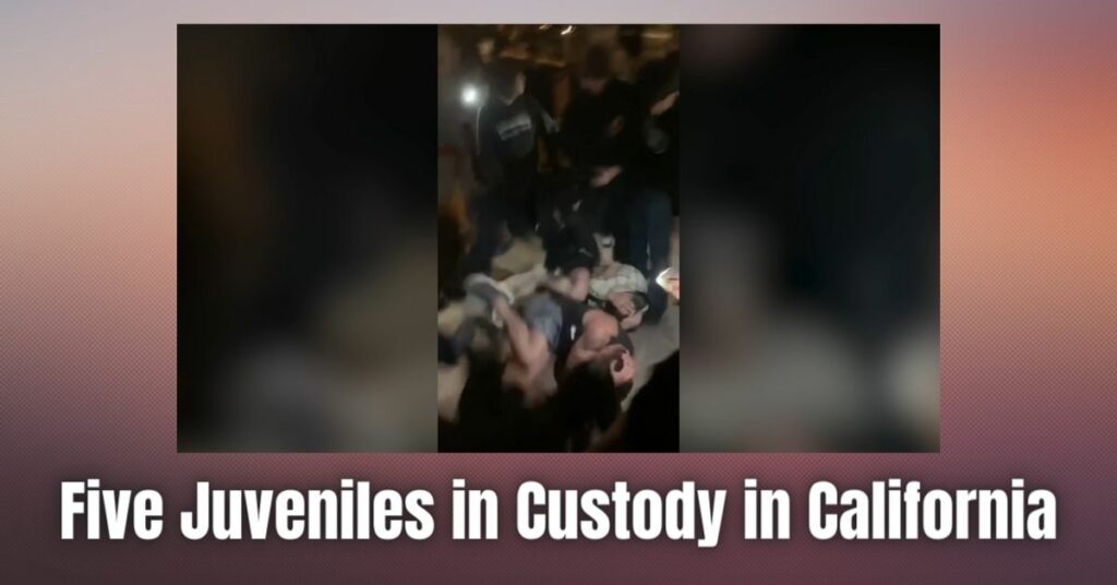 Five Juveniles in Custody in California