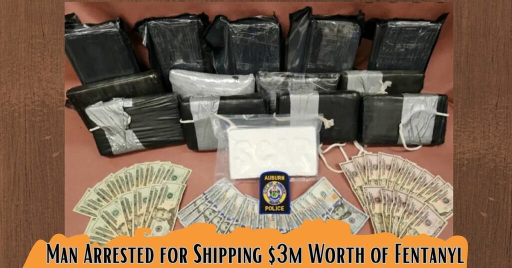 Man Arrested for Shipping $3m Worth of Fentanyl