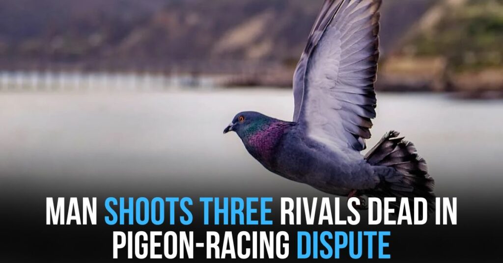 Man Shoots Three Rivals Dead in Pigeon-racing Dispute