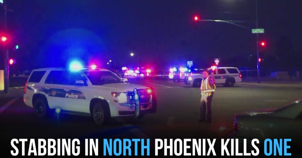 Stabbing in North Phoenix Kills One