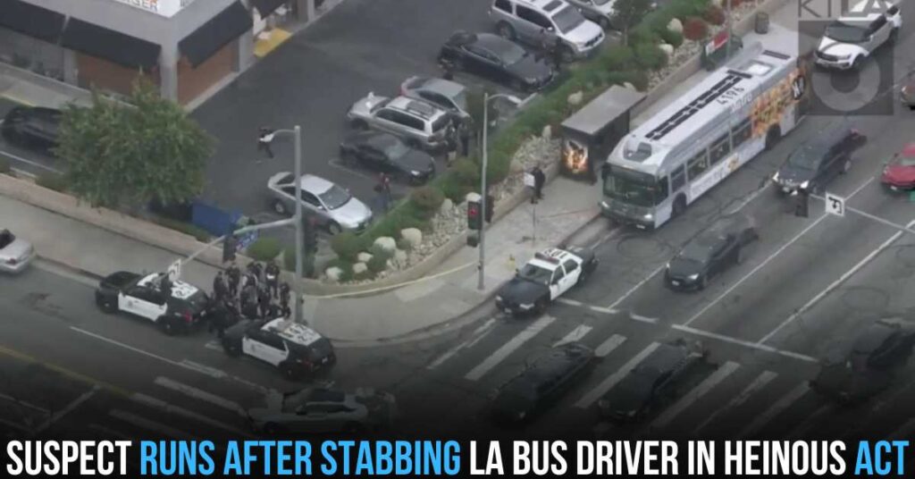 Suspect Runs After Stabbing LA Bus Driver in Heinous Act