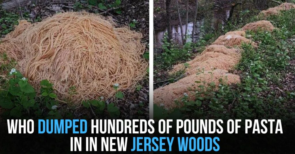 Who Dumped Hundreds of Pounds of Pasta in in New Jersey Woods