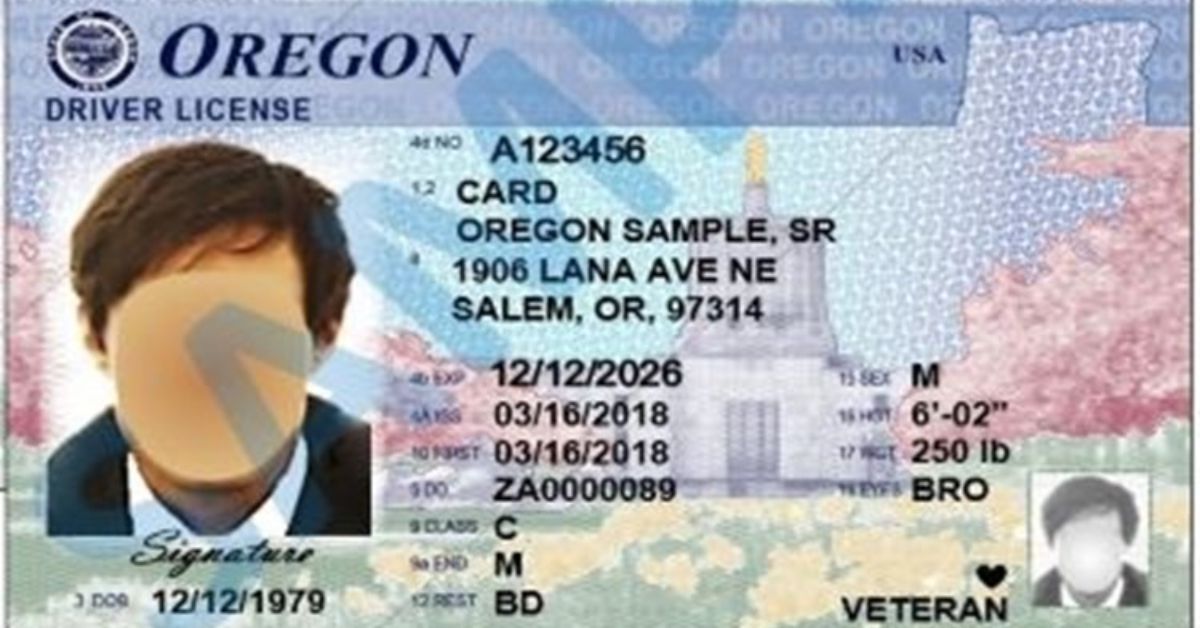 90% of Oregonians' Driver's Licenses and State IDs Are Affected by a Massive Data Leak 