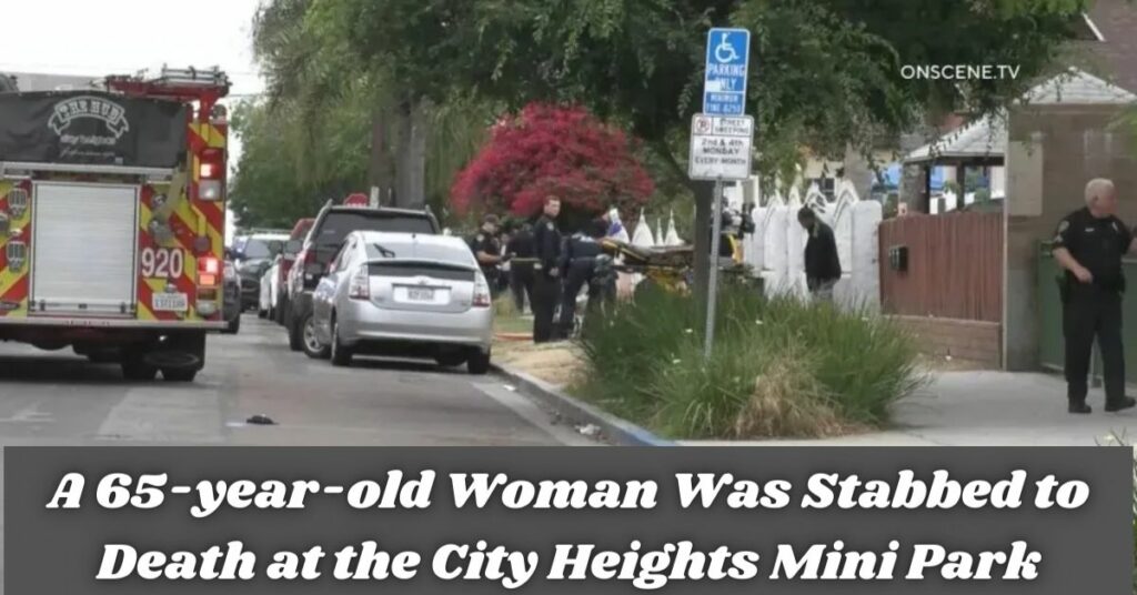 A 65-year-old Woman Was Stabbed to Death at the City Heights Mini Park