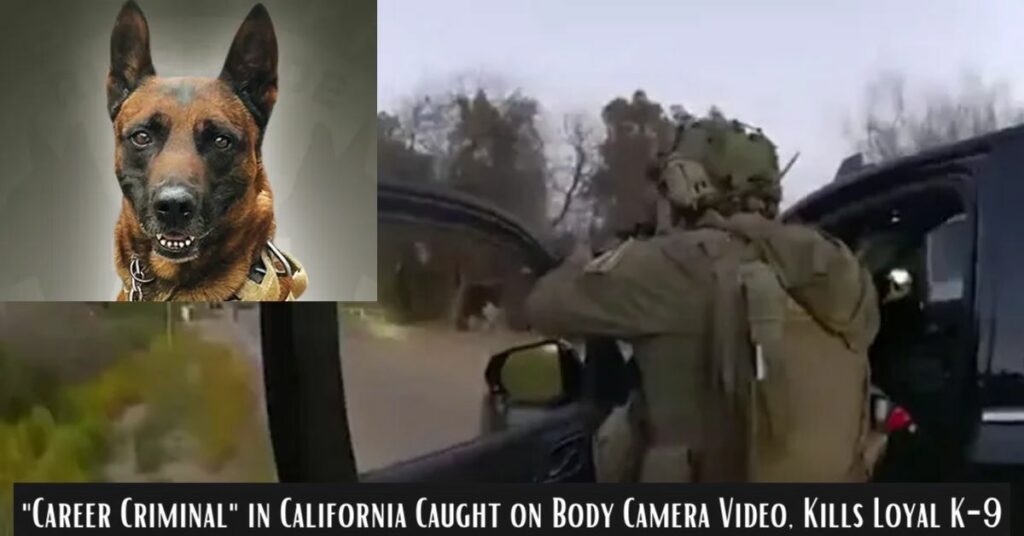 Career Criminal in California Caught on Body Camera Video, Kills Loyal K-9 (1)