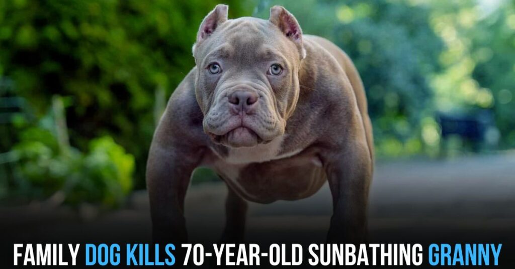 Family Dog Kills 70-year-old Sunbathing Granny