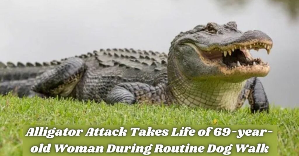 Alligator Attack Takes Life of 69-year-old Woman During Routine Dog Walk