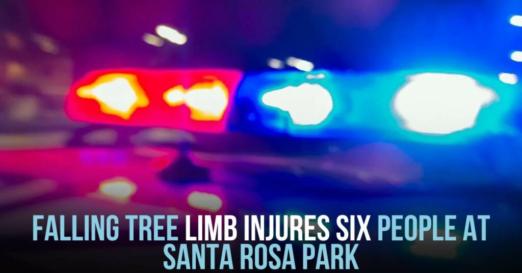 Falling Tree Limb Injures Six People at Santa Rosa Park