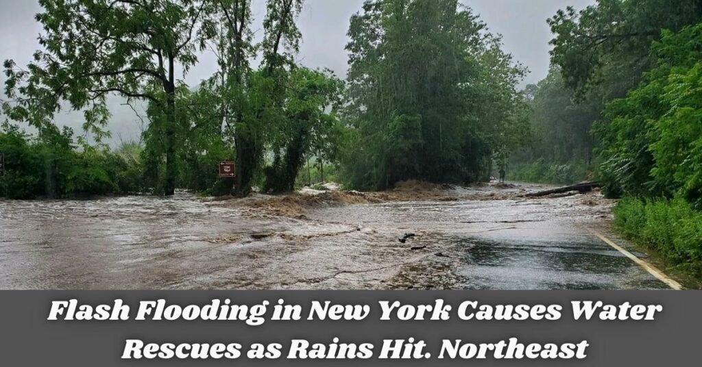 Flash Flooding in New York Causes Water Rescues as Rains Hit. Northeast