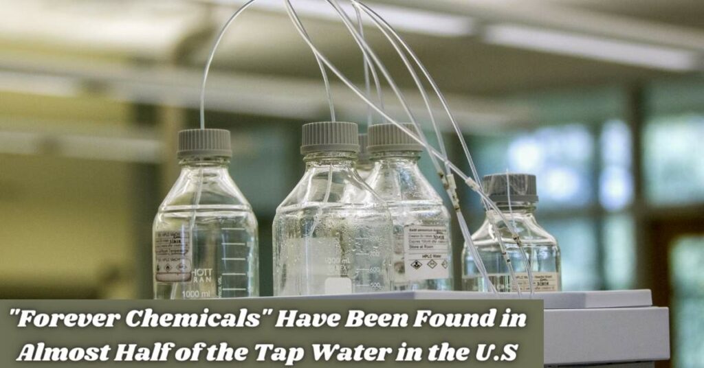 Forever Chemicals Have Been Found in Almost Half of the Tap Water in the U.S