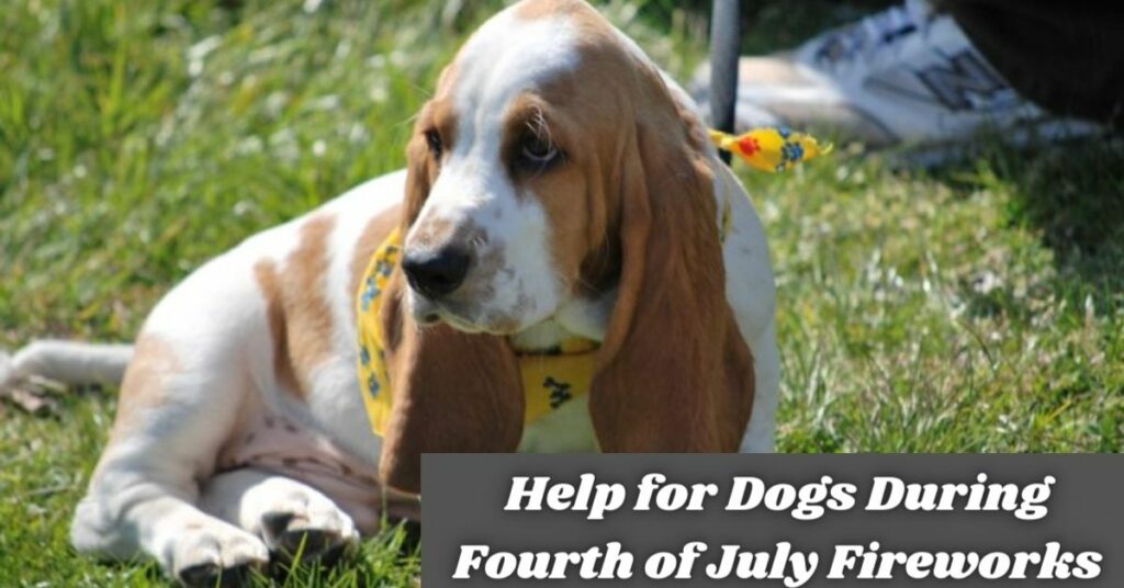 Help for Dogs During Fourth of July Fireworks