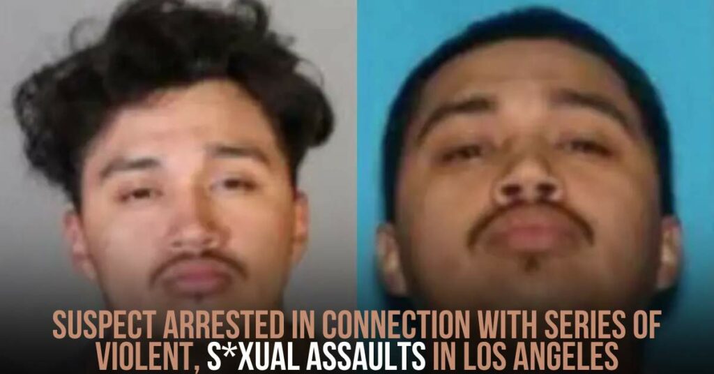 Suspect Arrested in Connection with Series of Violent