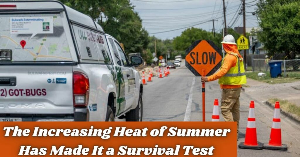 The Increasing Heat of Summer Has Made It a Survival Test (2)