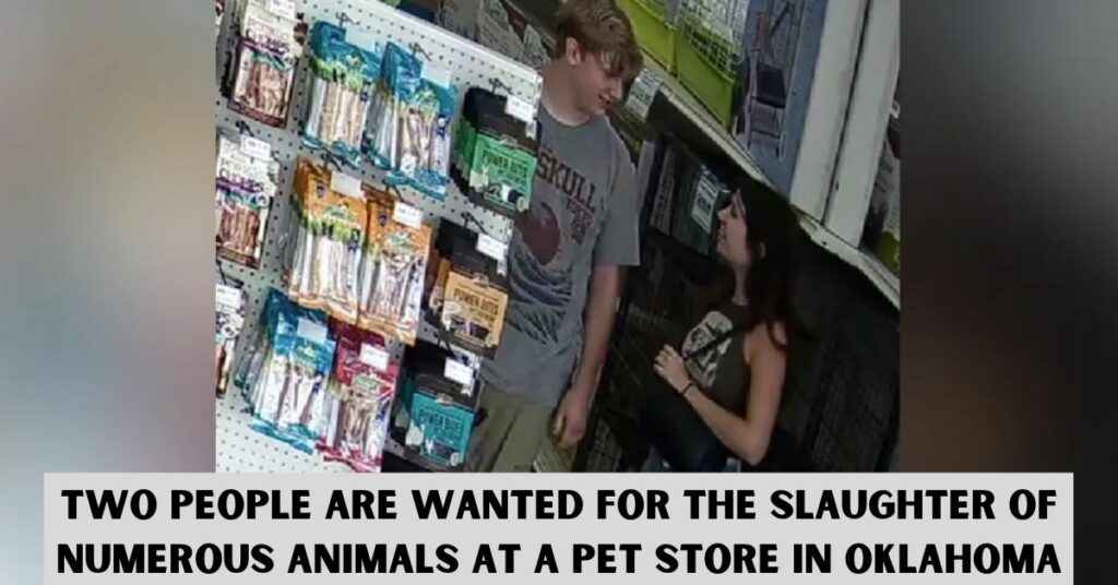 Two People Are Wanted for the Slaughter of Numerous Animals at a Pet Store in Oklahoma