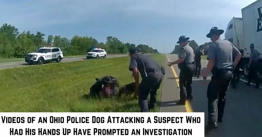 Videos of an Ohio Police Dog Attacking a Suspect Who Had His Hands Up Have Prompted an Investigation