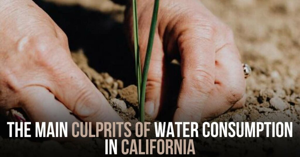 the Main Culprits of Water Consumption in California