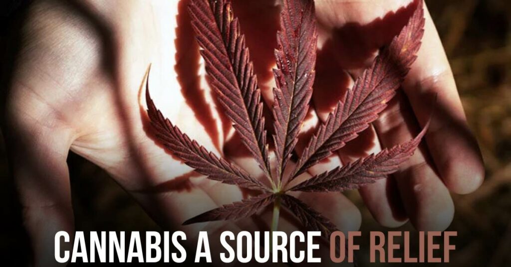 Cannabis a Source of Relief