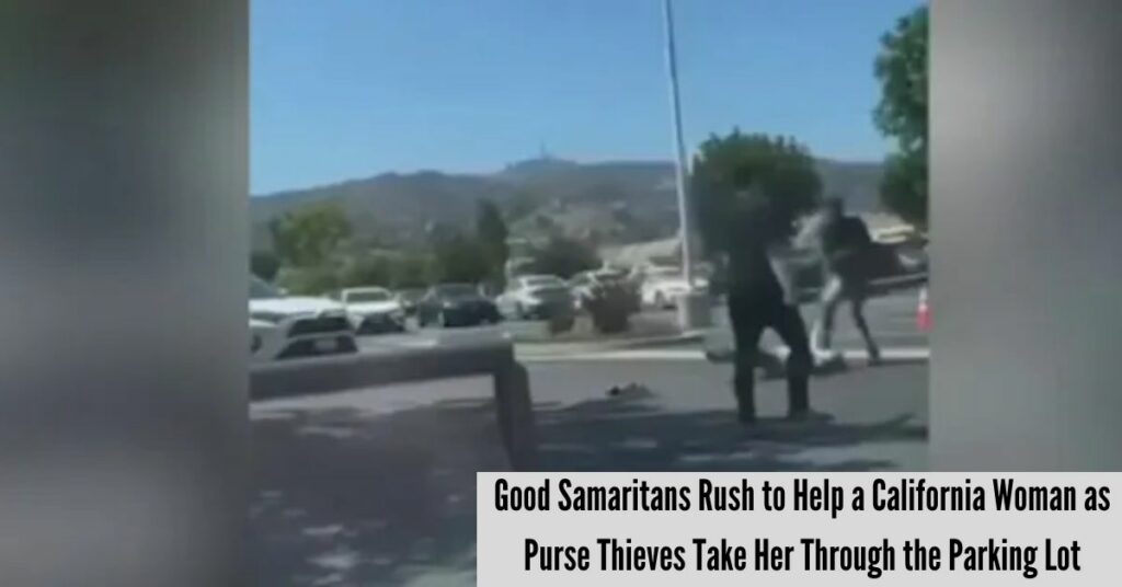 Good Samaritans Rush to Help a California Woman as Purse Thieves Take Her Through the Parking Lot