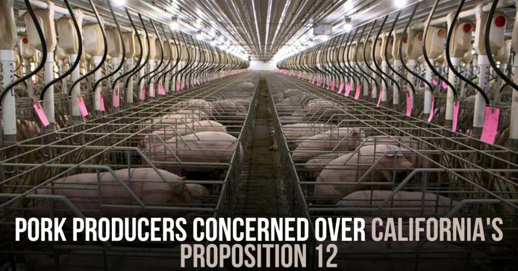 Pork Producers Concerned Over California's Proposition 12