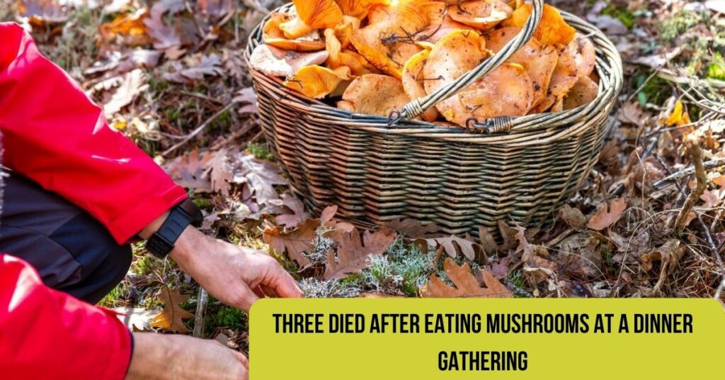 Three Died After Eating Mushrooms At A Dinner Gathering