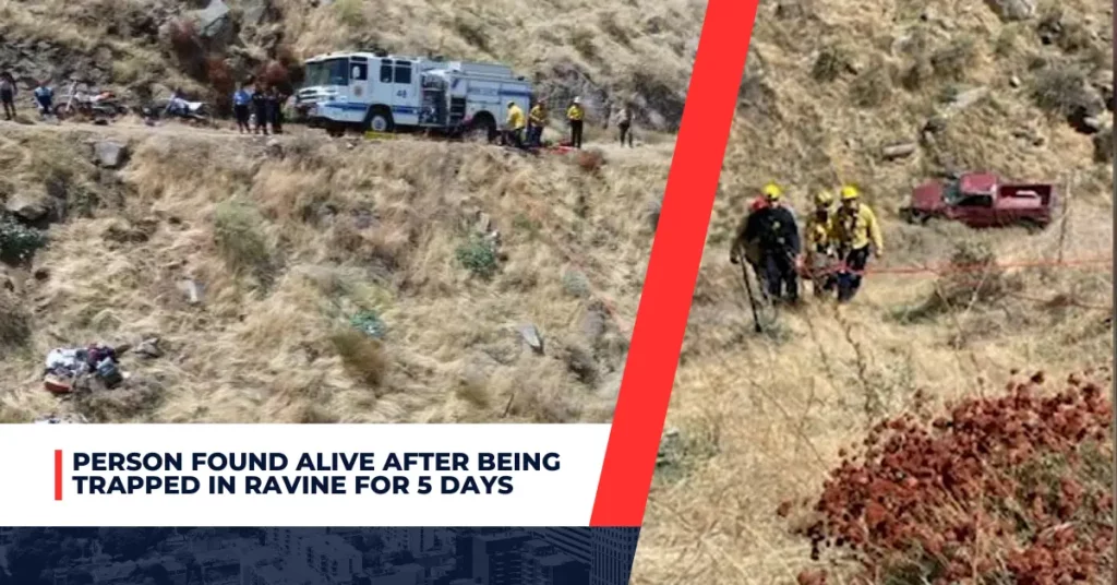 Person Found Alive After Being Trapped in Ravine for 5 Days
