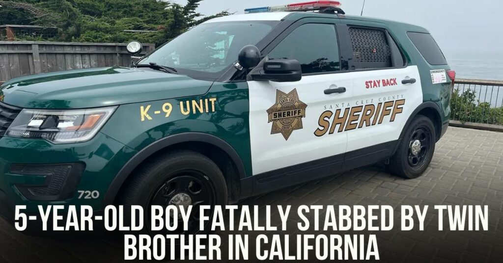 5-Year-Old Boy Fatally Stabbed by Twin Brother in California