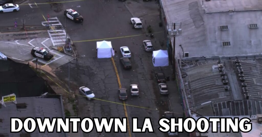 Downtown LA Shooting